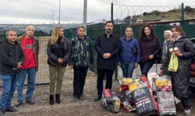 Kent Konseyi’nden Hayvan Barınağına Ziyaret: Şeffaflık İstiyoruz